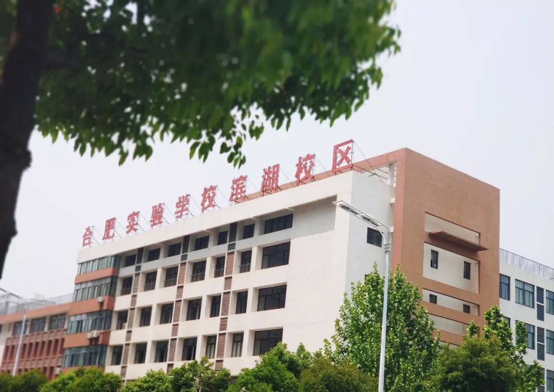 园,嵩山路幼儿园(规划中),合肥实验学校滨湖校区,合肥市华山路小学