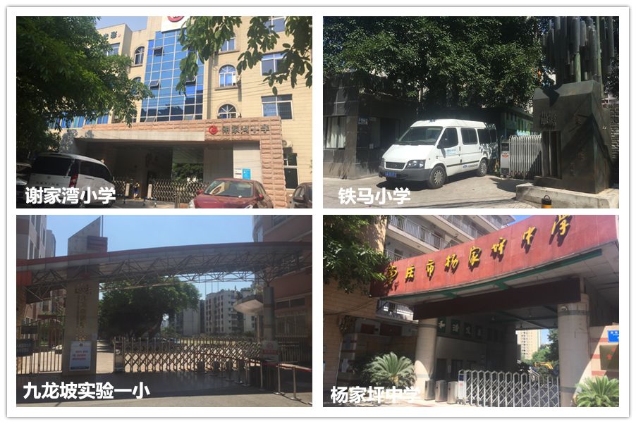 谢家湾小学(名校,九龙坡实验二小,九龙坡实验一小,铁马小学 中学