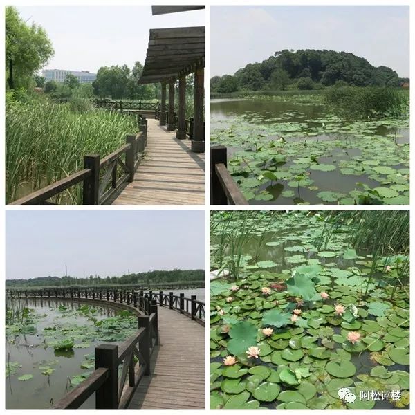 从花山郡驾车5分钟从严西湖隧道到青王路附近,即可进入东湖绿道二期