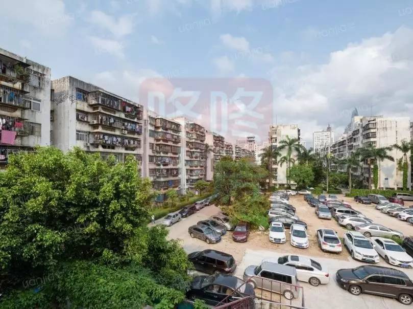 诸如百花 实验的双名校学区房红荔村,一直诉求城市更新的香蜜二村等